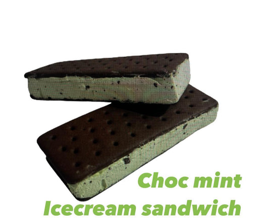 Freeze Dried Choc Mint Ice Cream Sandwich.